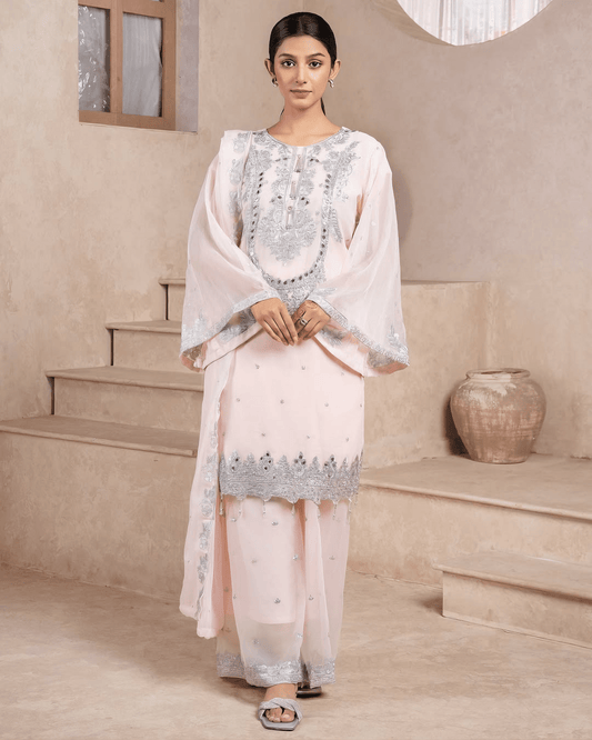 Zayna – Baby Pink Silver Embroidered Chiffon Suit - Qalbi Loom